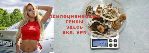 дживик Ельня