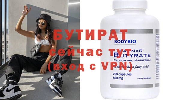 дживик Ельня