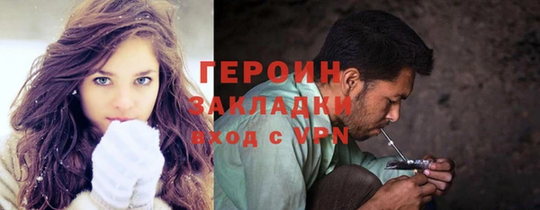 дживик Ельня