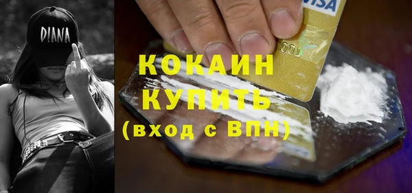 дживик Ельня