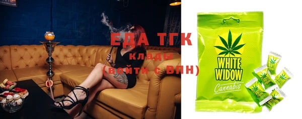 дживик Ельня