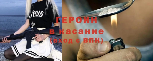 дживик Ельня