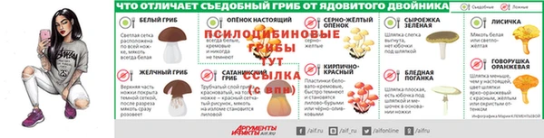 дживик Ельня