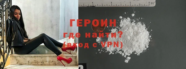 дживик Ельня