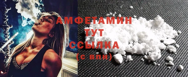 дживик Ельня