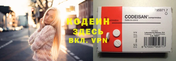 дживик Ельня