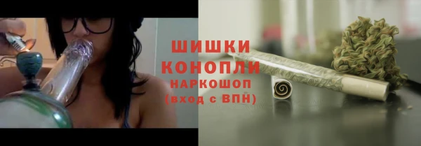 дживик Ельня