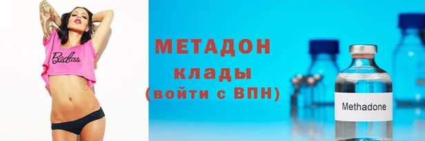 дживик Ельня