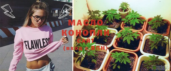 мет Елабуга