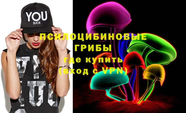 дживик Ельня