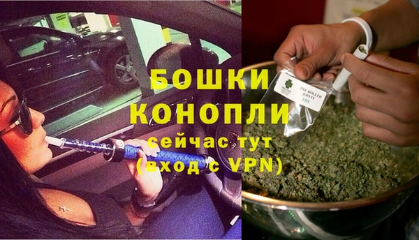 дживик Ельня