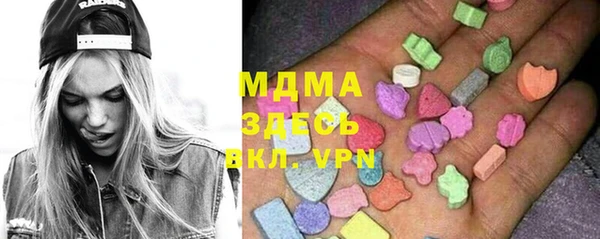 дживик Ельня