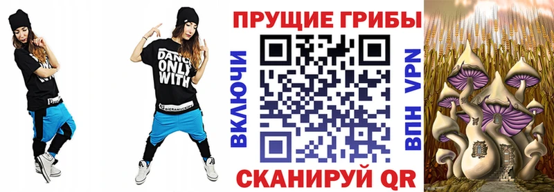 Купить  Лысьва  Галлюциногенные грибы Cubensis 